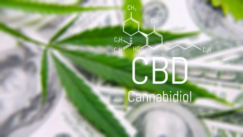 combien de temps reste le CBD dans les urines ?