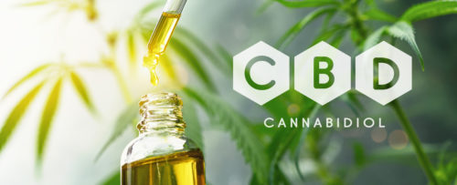 Quels sont les bienfaits du CBD?