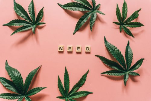 Comment différencier CBD et weed?